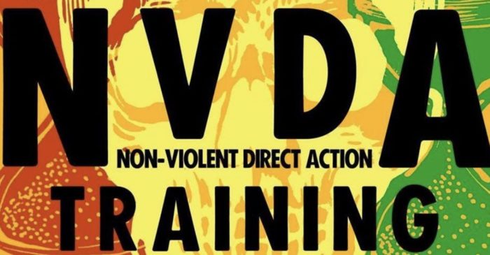 NVDA non violent direct action training